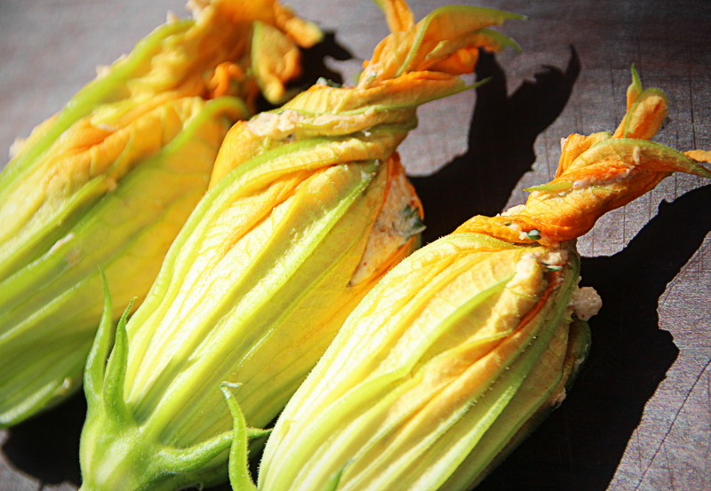 Courgette blossoms filled with a delicate duo of cheeses, fragrant herbs and mixed peppery spices.