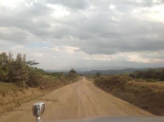 I love the country roads winding around Lake Naivasha. Beautiful...