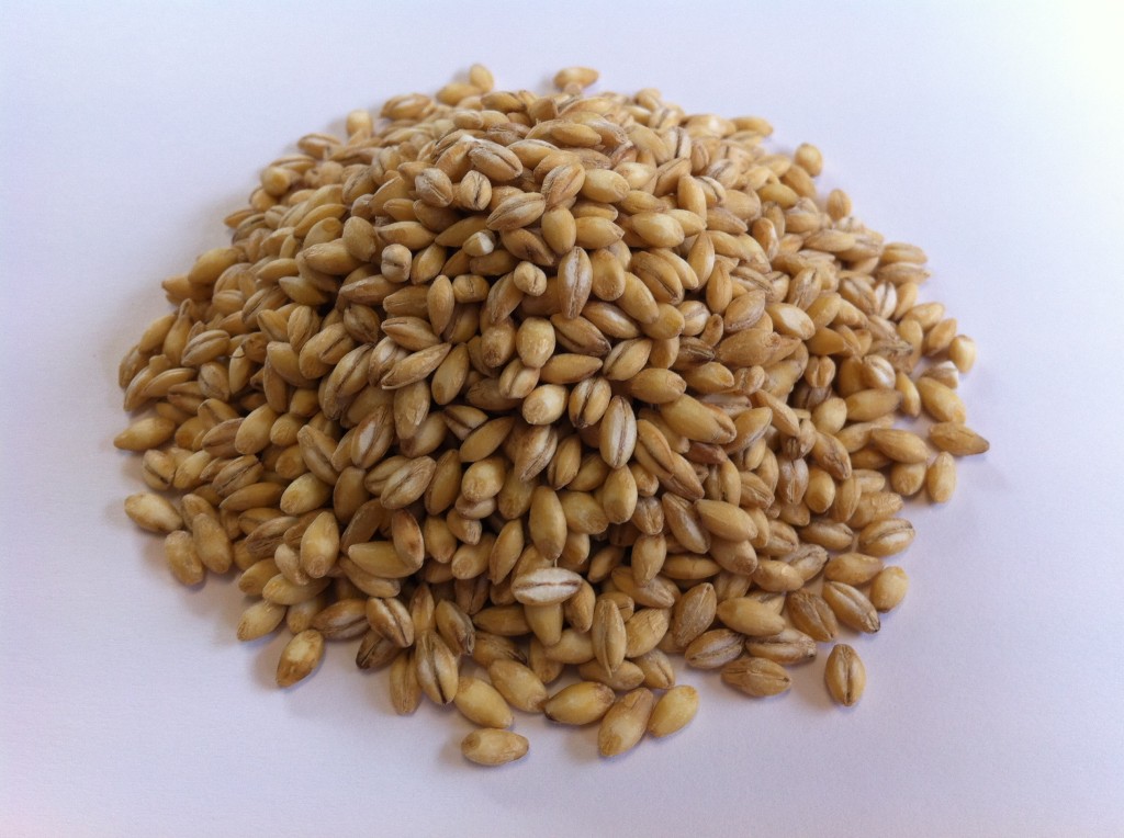 Barley contains gluten