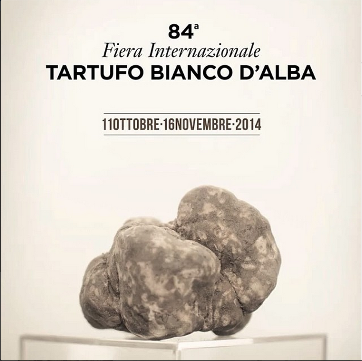 84th International Alba White Truffle Fair – Celebrating Food Decadence!